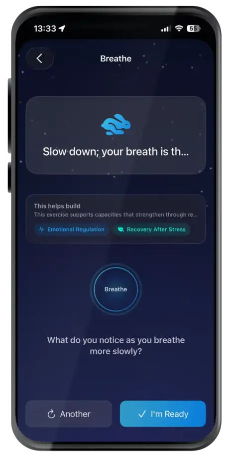 Illusim guided breathing screen for emotional regulation and stress recovery